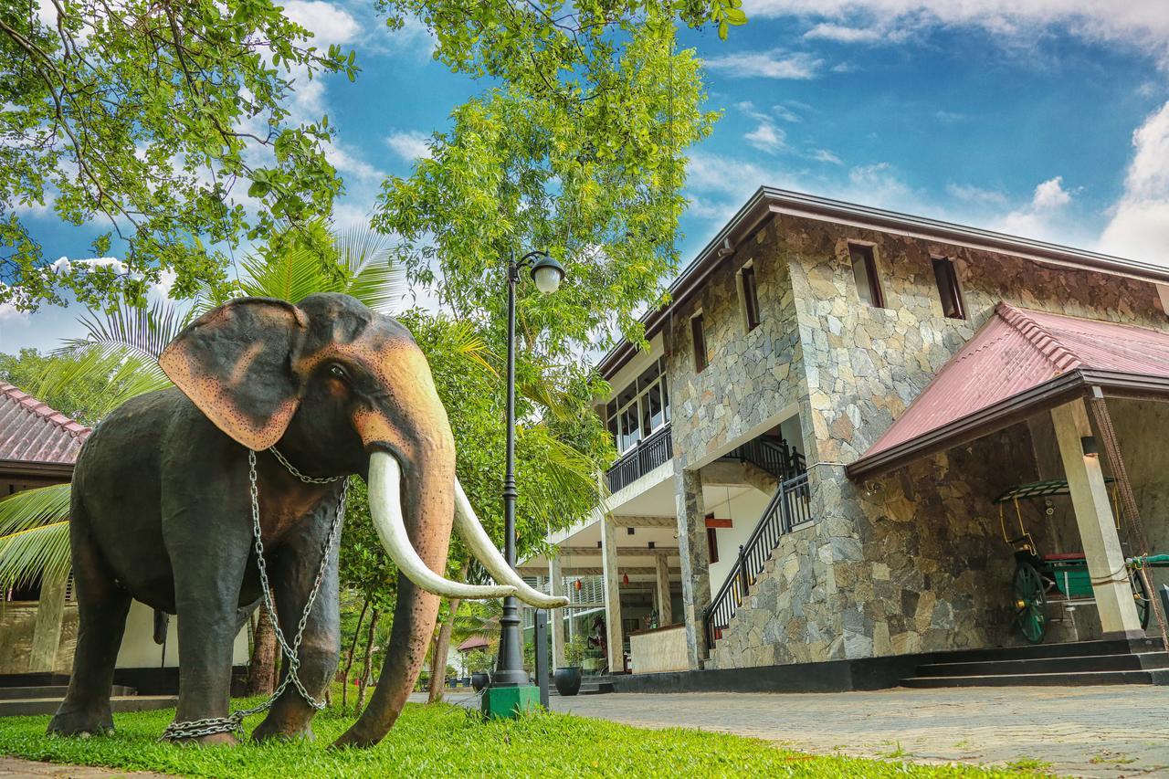 Oak Ray Elephant Lake Sigiriya Buitenkant foto